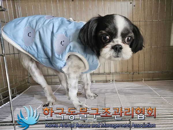 한국동물구조관리협회_411303202300670